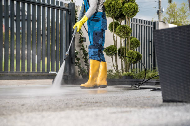 Best Roof Pressure Washing  in Mertzon, TX